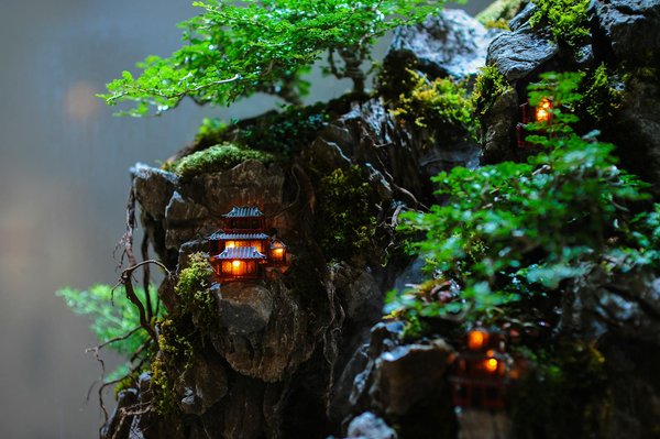 Pourquoi la politique sociale joue un rôle crucial dans les élections ?